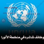 منظمة الأنورا