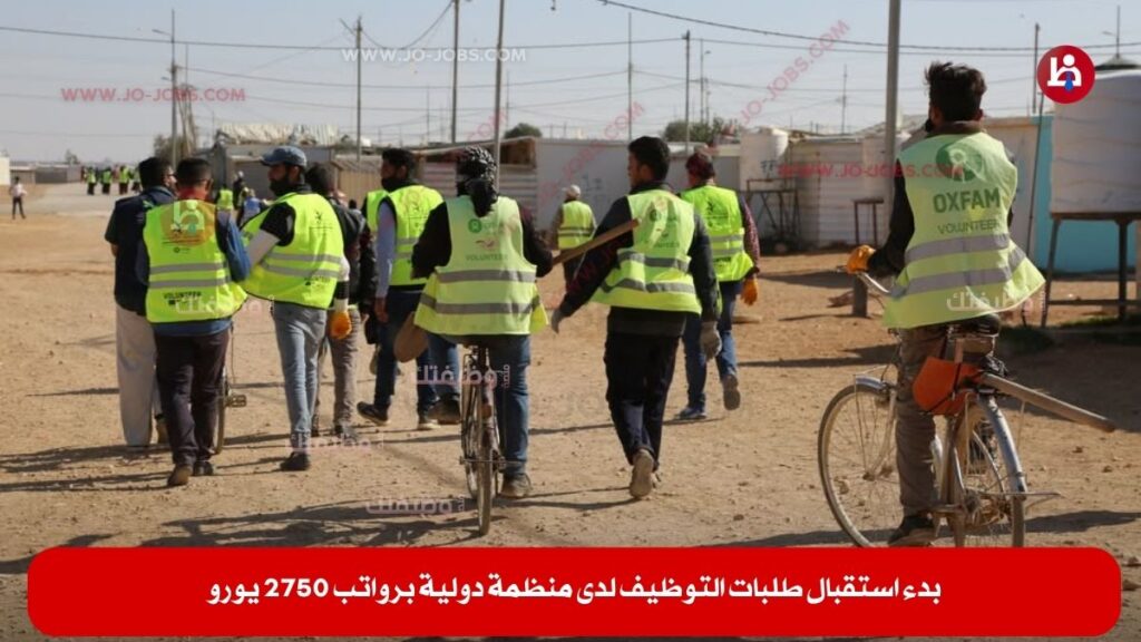 منظمة دولية